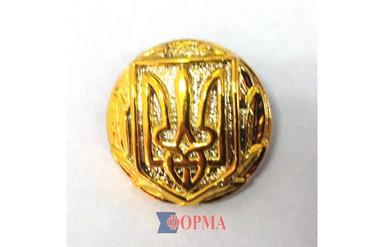 Гудзик генеральський